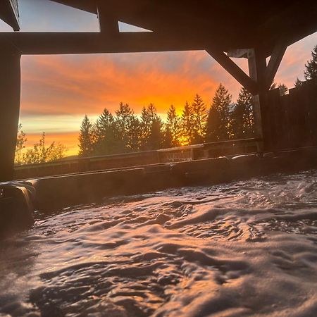 Chalet Avec Jacuzzi Prive, Vue Sur Les Vosges Belfahy Экстерьер фото